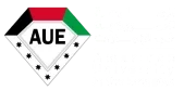 American University in the Emirates